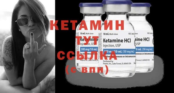 гидра Аркадак