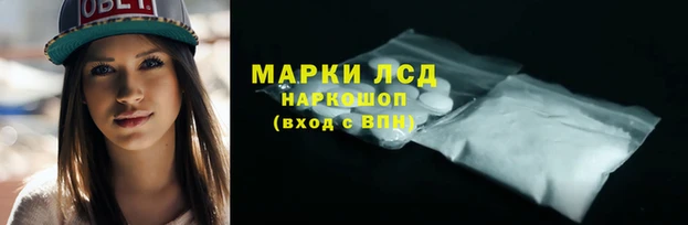 гидра Аркадак