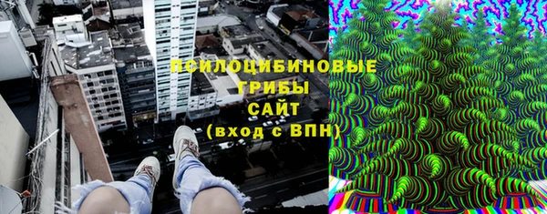 гидра Аркадак