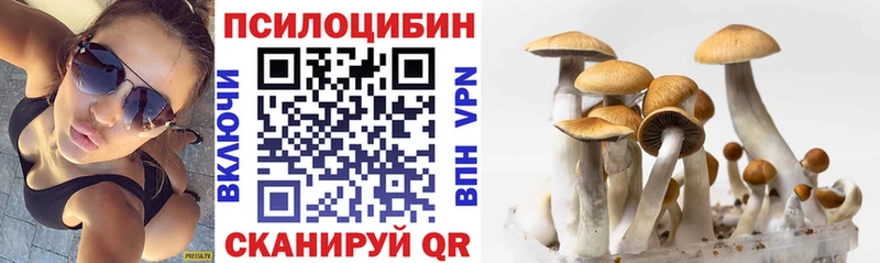 Псилоцибиновые грибы Psilocybe  Удачный 
